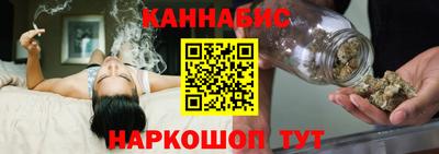 стаф Сланцы