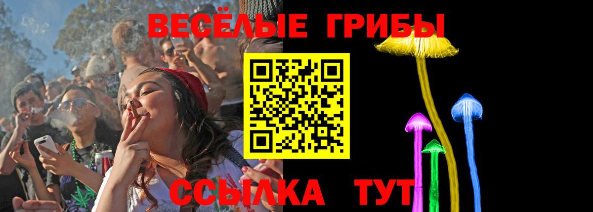 Галлюциногенные грибы Psilocybine cubensis Набережные Челны